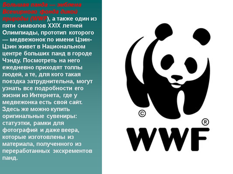 Большая панда — эмблема Всемирного фонда дикой природы (WWF), а также один из пяти